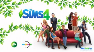 SIMS