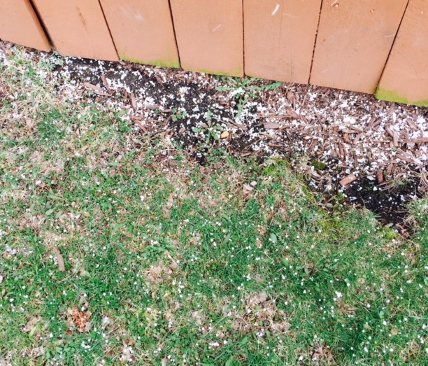 Screen Shot 2016-04-09 at 12.01.21 AM.png