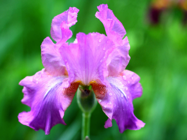 Screen Shot 2016-04-12 at 10.32.54 PM.png