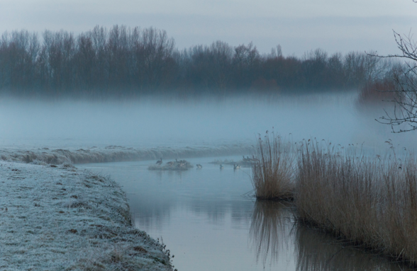 Screen Shot 2016-04-20 at 5.21.59 PM